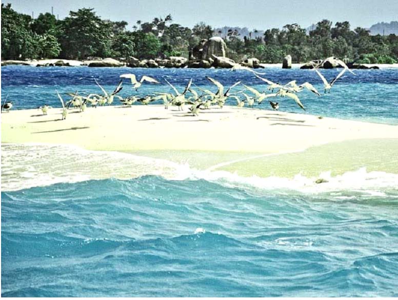 Pulau Pasir
