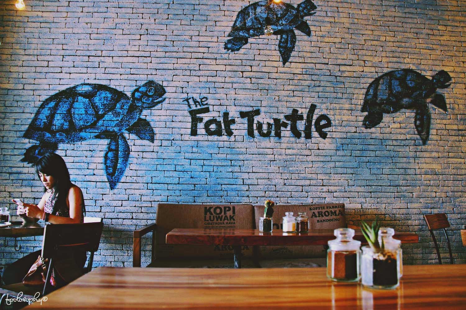 The Fat Turtle