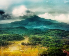 Pesona Wisata ke Gunung Tampomas Sumedang