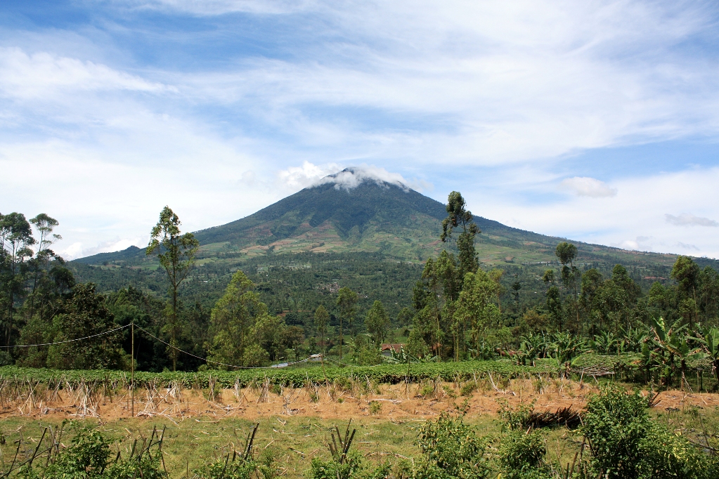 Mount Cikuray from Cisurupan