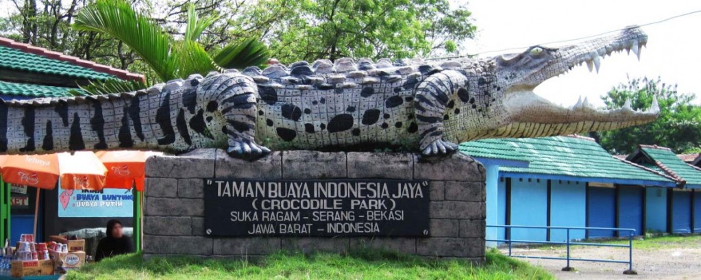 Taman Buaya Indonesia Jaya