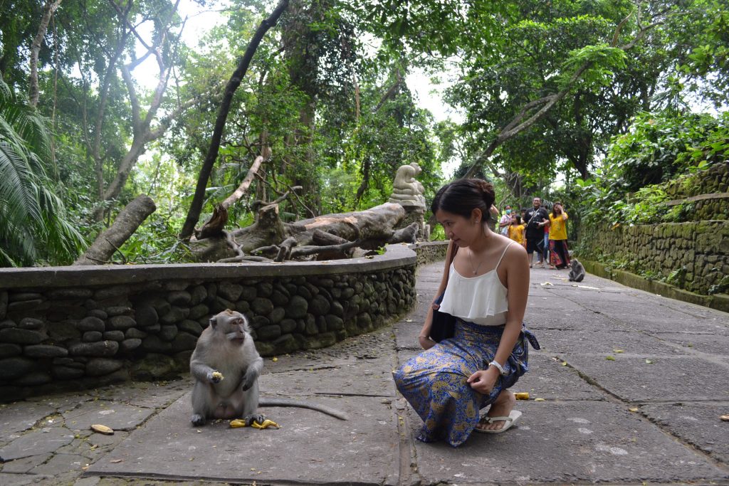 Rute Menuju Ubud Monkey Forest