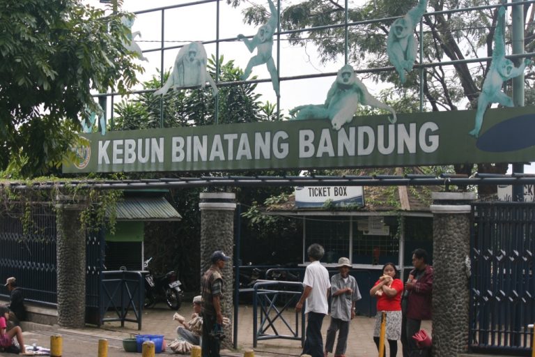 Tempat Wisata Anak di Bandung yang Seru dan Edukatif