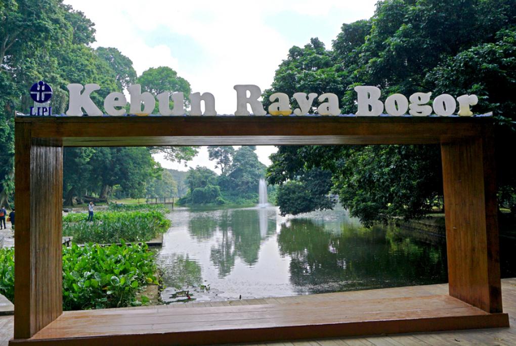 Kebun raya Bogor via mongabay.co.id