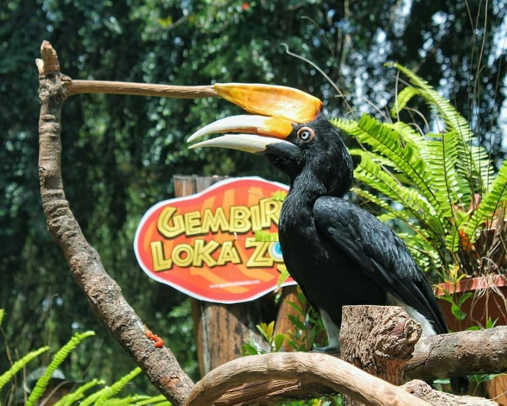 Gembira Loka Zoo via wisataoke.com