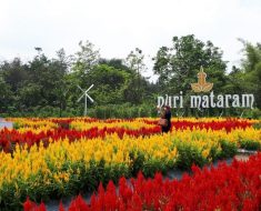 Taman Bunga Puri Mataram via travelspromo.com