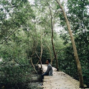 Mangrove Kampung Nipah via Travelingyuk